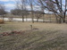27608 Co Rd 34