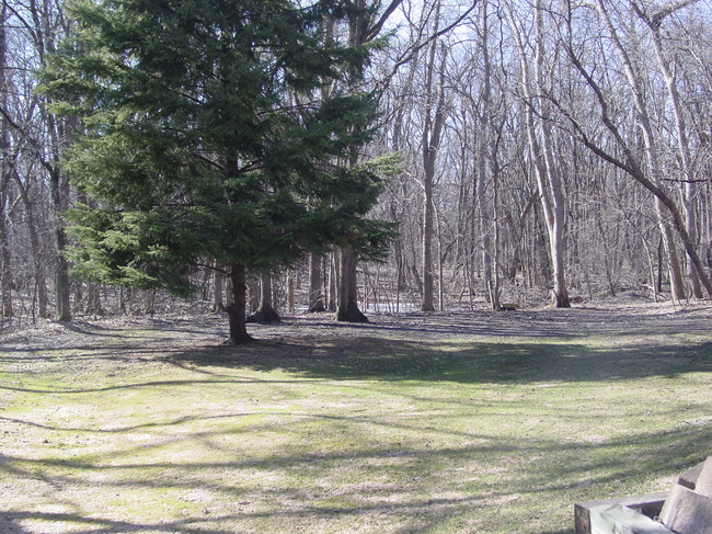 27789 Co Rd 175