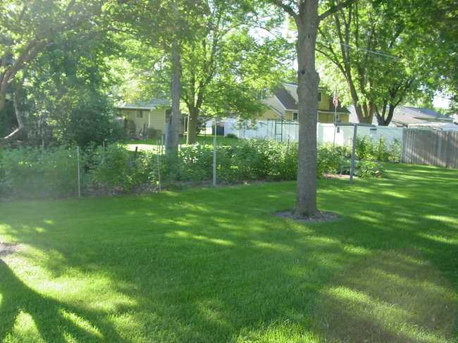 446 7th Ave N