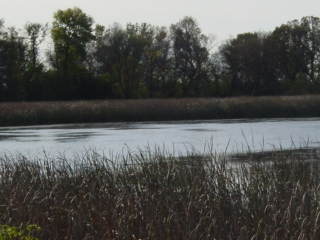 XXXX County Road 30