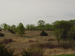 XXXX County Road 123