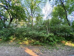 30067 Conita Circle Image