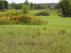 Co Rd 123 & 244th Ave Image
