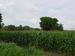 Manannah Township Meeker County