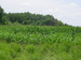 Manannah Township Meeker County