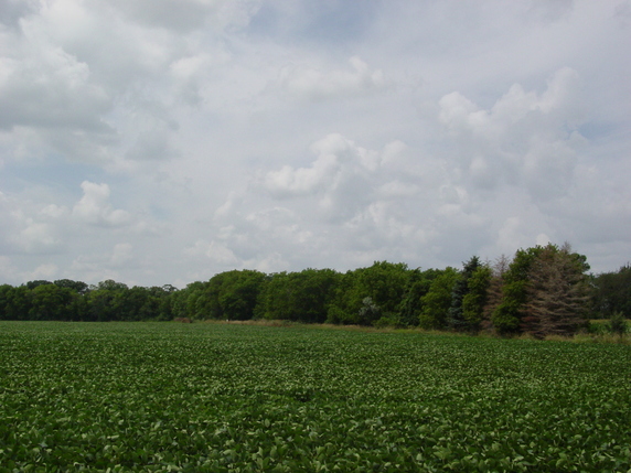 Union Grove Township Meeker County