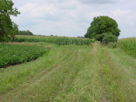 Union Grove Township Meeker County