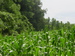 Union Grove Township Meeker County