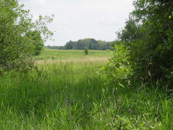 Union Grove Township Meeker County