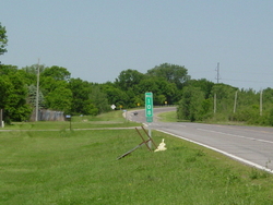 HWY 55